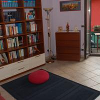 Elegante libreria in legno massello