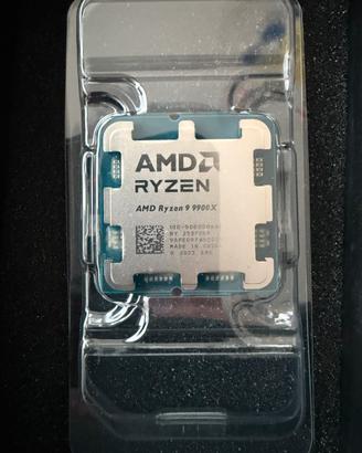 Ryzen 9 9900x