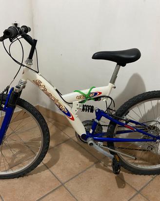 Bicicletta Mountain bike