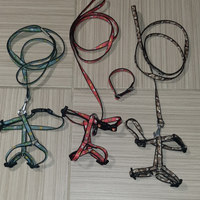 Pettorine e guinzagli per Chihuahua o cucciolo