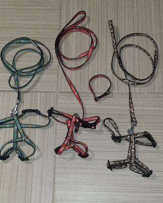 Pettorine e guinzagli per Chihuahua o cucciolo