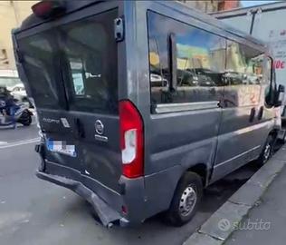 Fiat Ducato panorama 9 posti