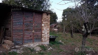 Terreno pianeggiante con ruderi