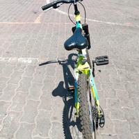 Bici Montana