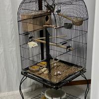 Voliera per pappagalli