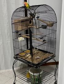 Voliera per pappagalli