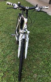 Bicicletta city bike bottecchia