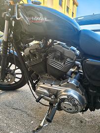 Harley Davidson Sportster 