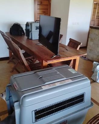 trasportino sky kennel Petmate XL