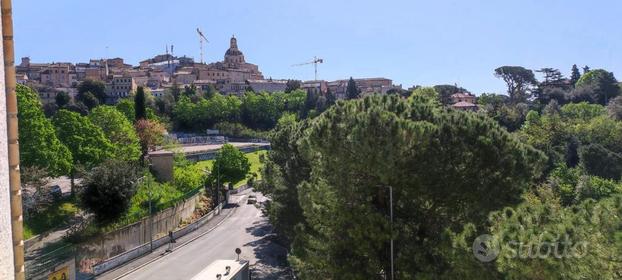 Appartamento di ampia metratura, vicinanza centro