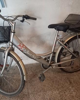 bicicletta da donna con cambio e cestini