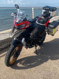 QJ motor 800 cc.