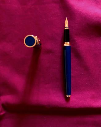 Stilografica Pierre Cardin