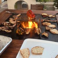 barbecue/piastra da giardino con tavolo integrato!