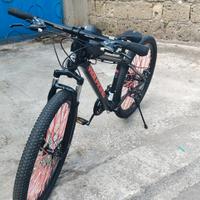 bicicletta wolfking