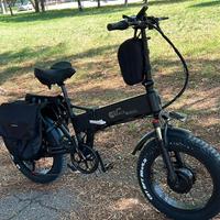 Bici Elettrica 