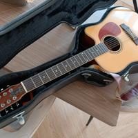 Chitarra  12 corde elettrificata