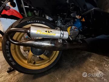 Pinasco pws piaggio