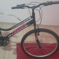 bicicletta