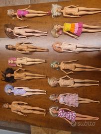 n. 13 Barbie e 1 Ken