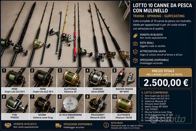 Lotto 10 canne da pesca con vari tipi di mulinello