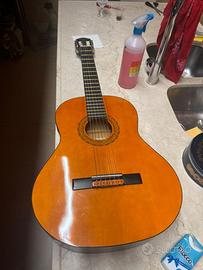 Chitarra Eko