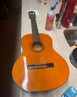 Chitarra Eko