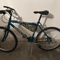Bicicletta Mountain Bike