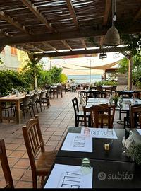 Pizzeria, Braceria bar