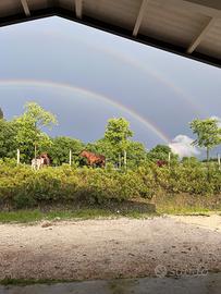 Scuderia La portesina