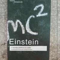 Il mondo come lo vedo io (Italiano) - A. Einstein