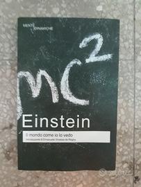 Il mondo come lo vedo io (Italiano) - A. Einstein