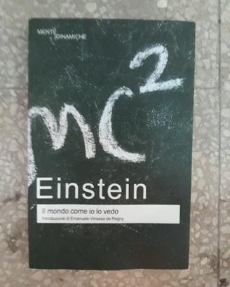 Il mondo come lo vedo io (Italiano) - A. Einstein