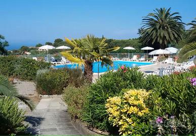 Monolocale piscina Capoliveri