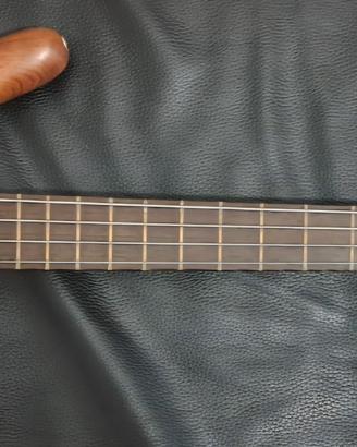 Warwick corvette standard 1996