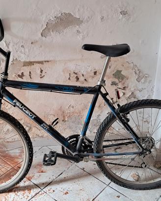 Bici Mountain Bike