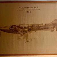 Piaggio-Pegna Pc 7