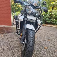 Triumph Tiger 800 - 2019