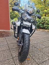 Triumph Tiger 800 - 2019