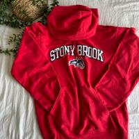 Felpa Champion Stony Brook vintage