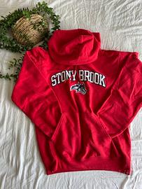 Felpa Champion Stony Brook vintage
