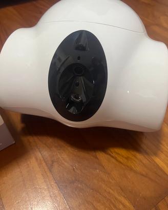 Robot WifI con telecamera pet