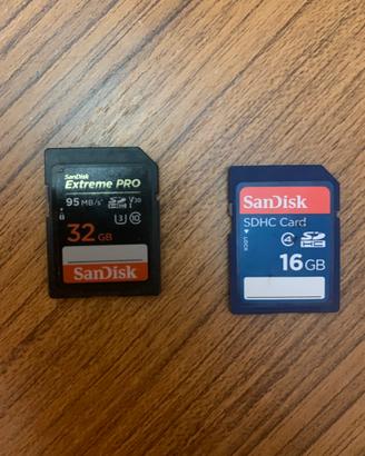 Schede SD Sandisk