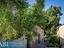 Immagine 25