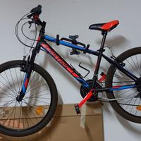 Bicicletta Mountain bike 24