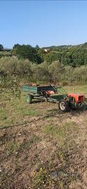 Goldoni 14 cv con carrello e fresa