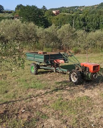 Goldoni 14 cv con carrello e fresa