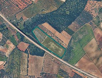 Immobile in asta di 36626 m² a Acquaviva delle Fon