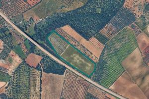 Immobile in asta di 36626 m² a Acquaviva delle Fon