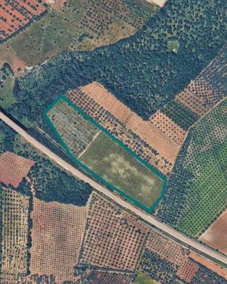 Immobile in asta di 36626 m² a Acquaviva delle Fon